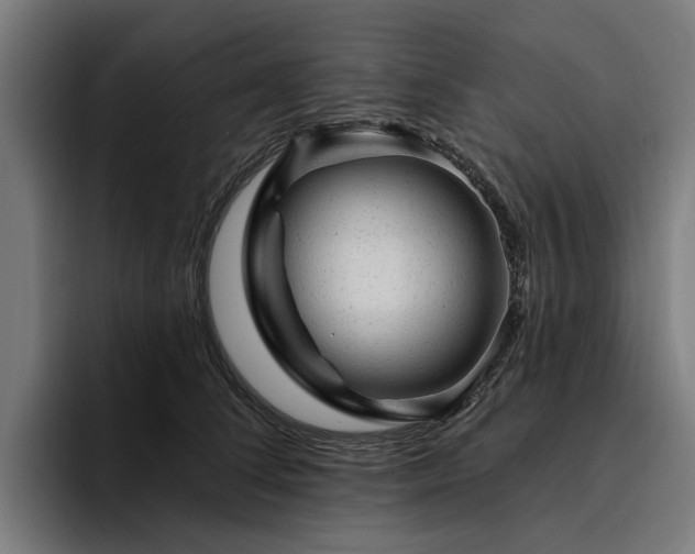 X0000094770708200711161356