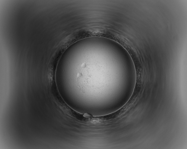 X0000094770710200711161356