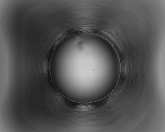 X0000094770712200711161356