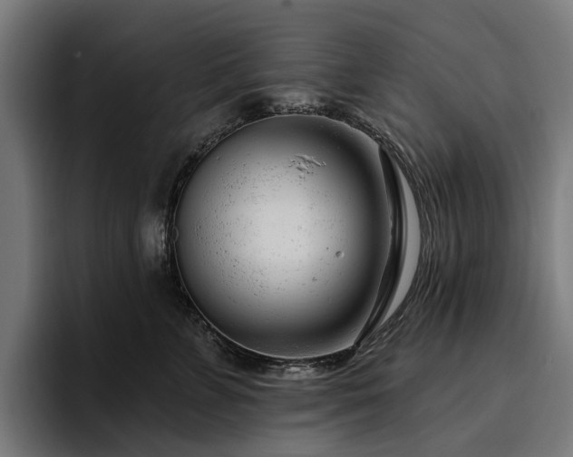 X0000094770715200711161356