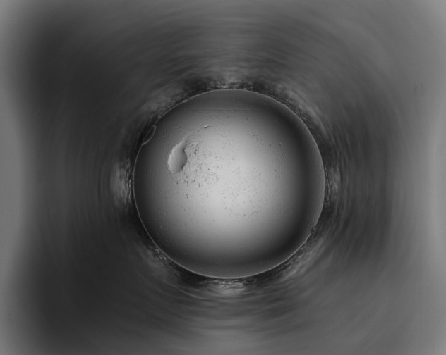 X0000094770719200711161356