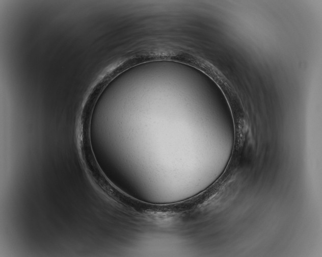 X0000094770726200711161355