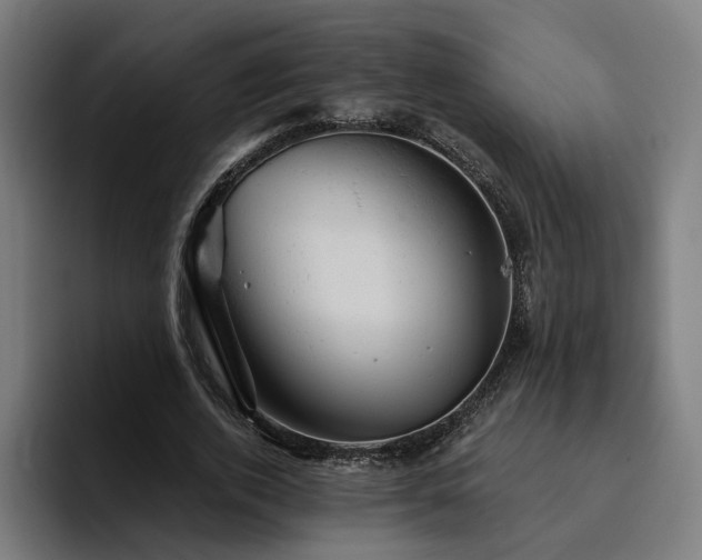 X0000094770728200711161355