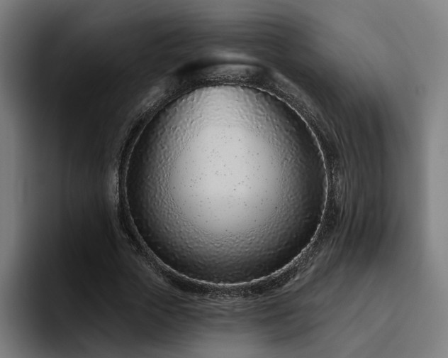 X0000094770729200711161355