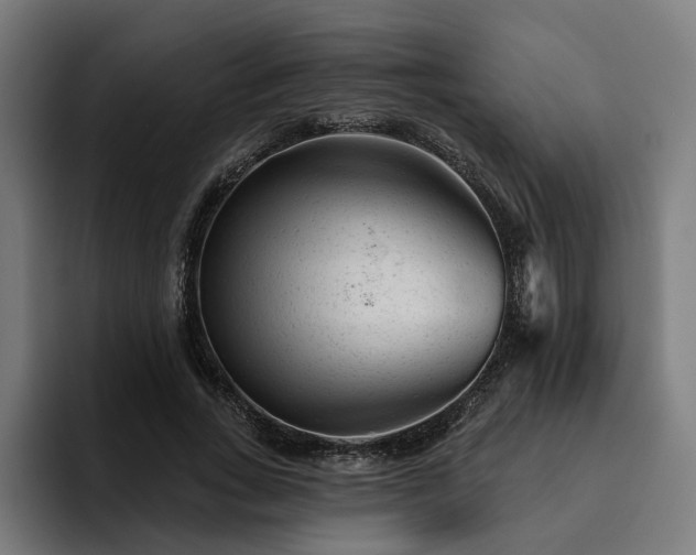 X0000094770735200711161355