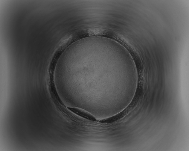 X0000094770738200711161355