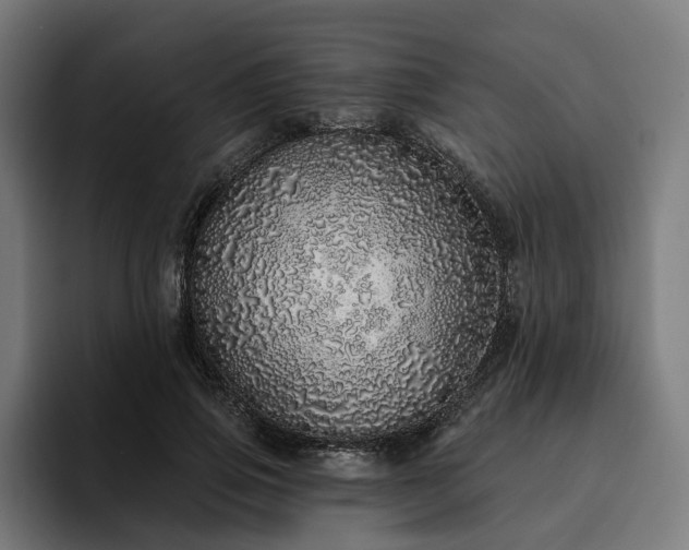 X0000094770741200711161355