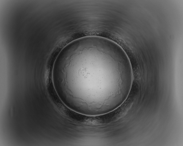 X0000094770742200711161355