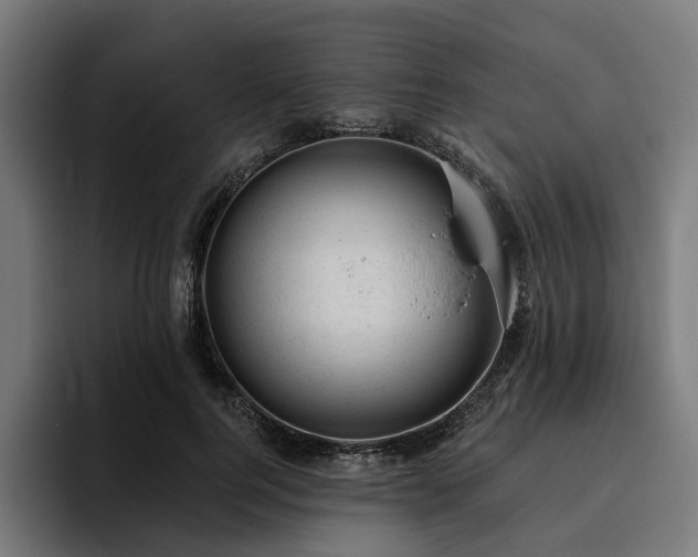 X0000094770744200711161355