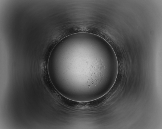 X0000094770747200711161355