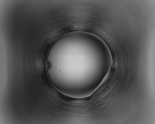 X0000094770751200711161355