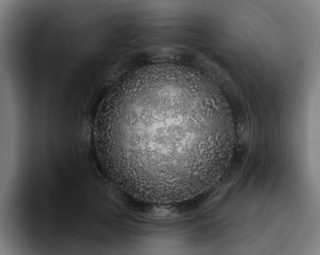 X0000094770753200711161355