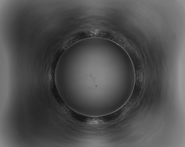 X0000094770754200711161355