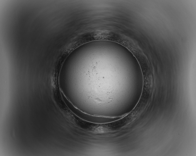 X0000094770755200711161355