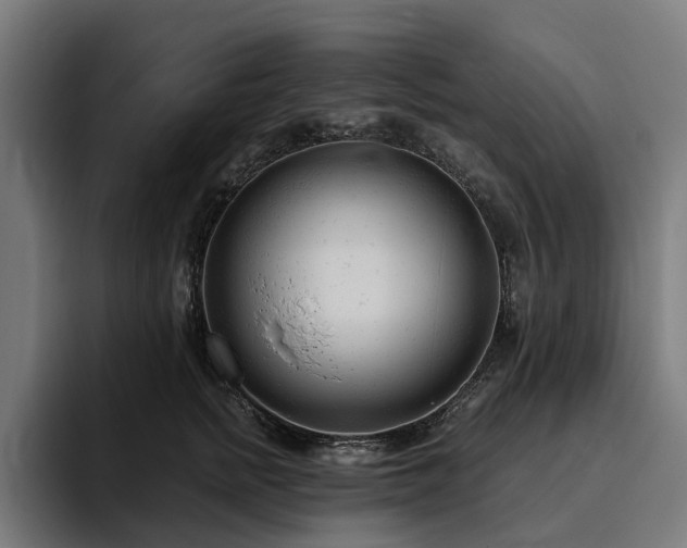 X0000094770758200711161355