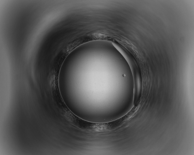 X0000094770762200711161355