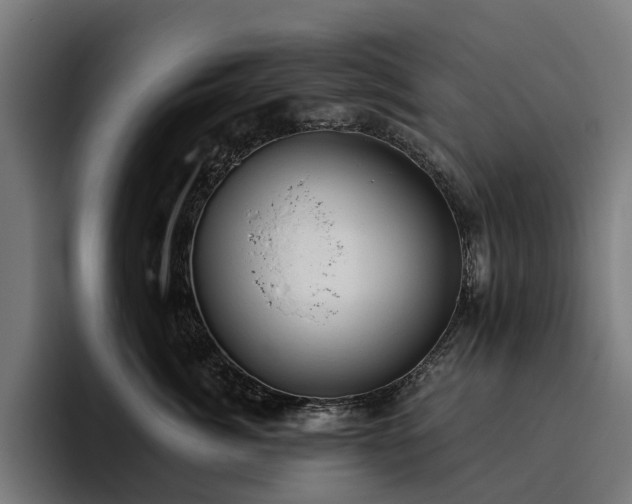 X0000094770764200711161356