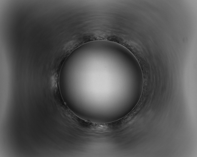 X0000094770768200711161356