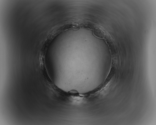 X0000094770770200711161355