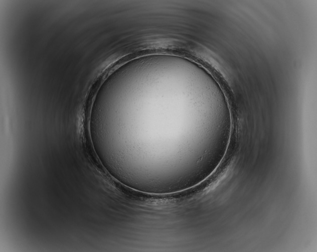 X0000094770778200711161355