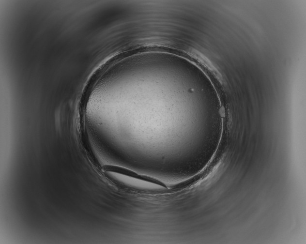 X0000094770782200711161355