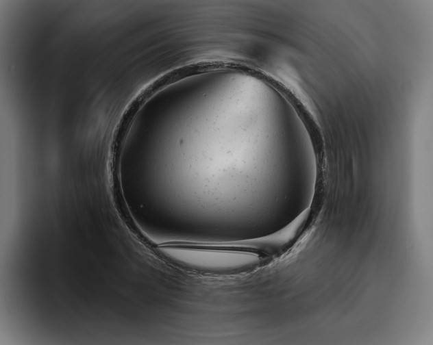 X0000094770783200711161355