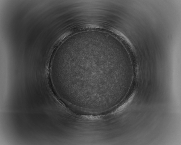 X0000094770785200711161355