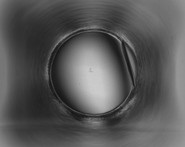 X0000094770789200711161355