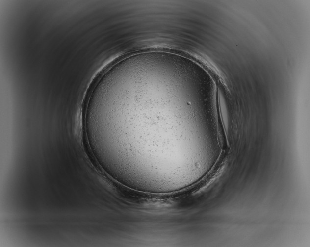 X0000094770790200711161355