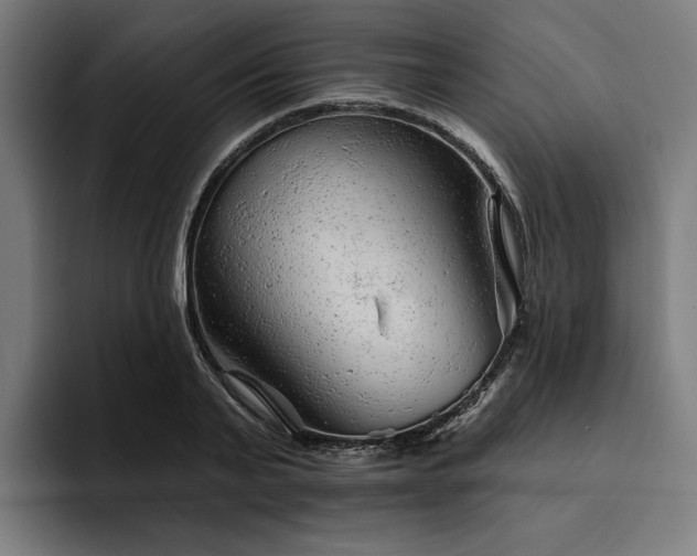 X0000094770791200711161355