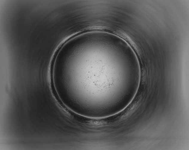 X0000094770795200711161355