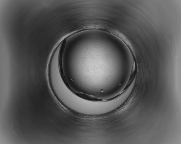 X0000094770803200711161354