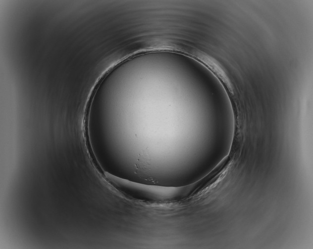 X0000094770805200711161354