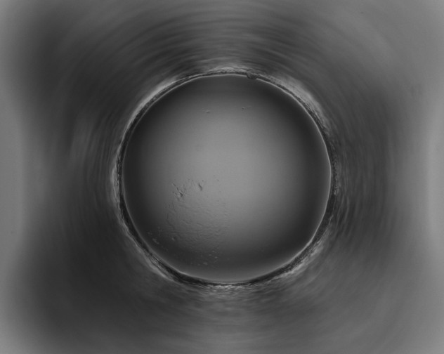 X0000094770806200711161354