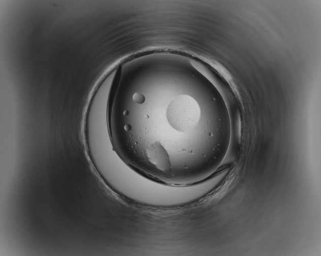 X0000094770807200711161354