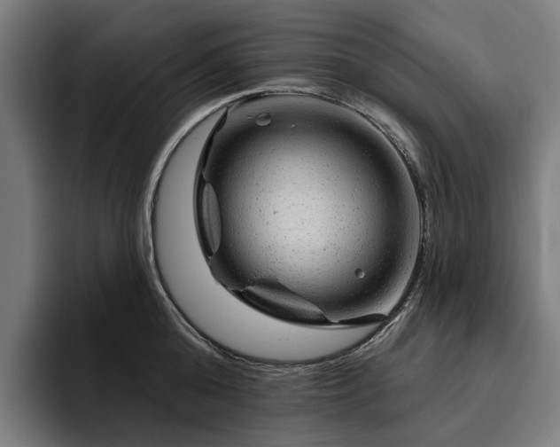 X0000094770808200711161354