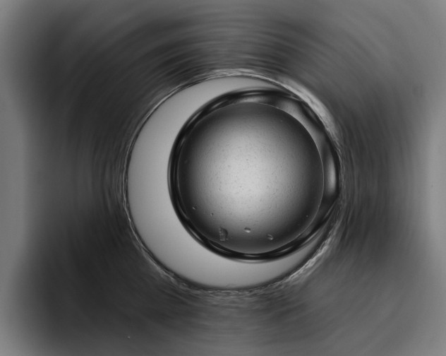 X0000094770809200711161354