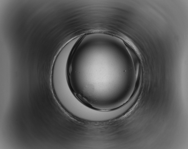 X0000094770810200711161354