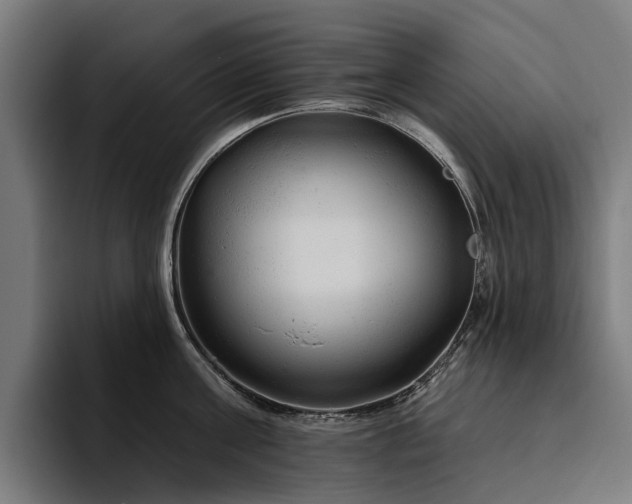 X0000094770811200711161354