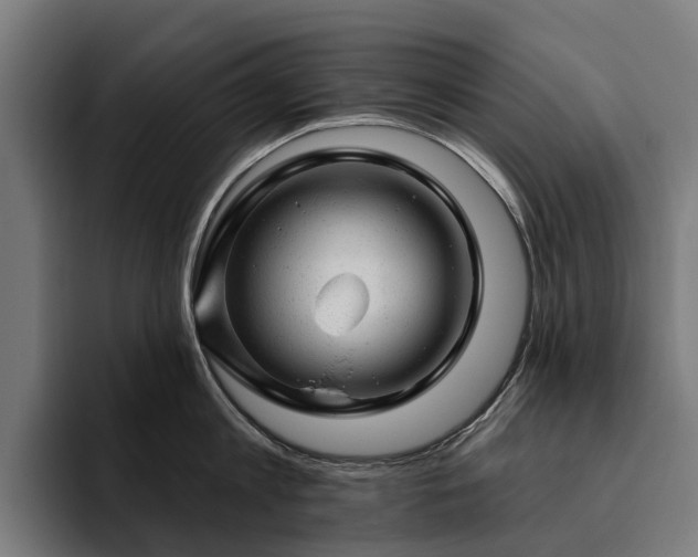 X0000094770813200711161354