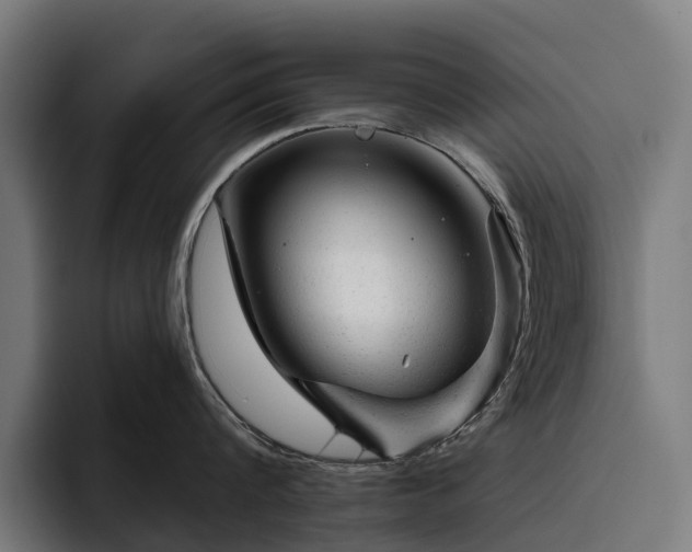 X0000094770816200711161354