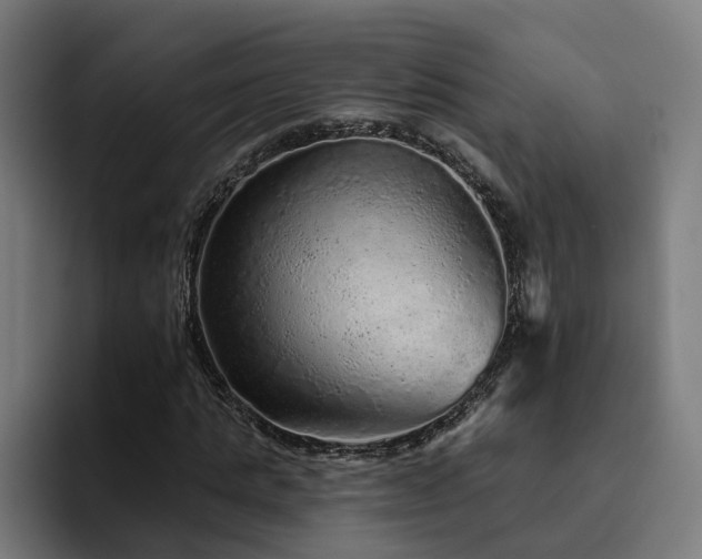 X0000094770821200711161354