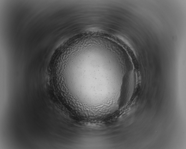 X0000094770823200711161354