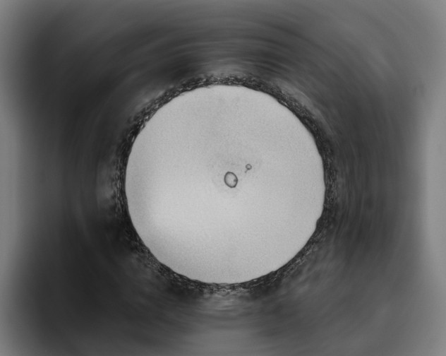 X0000094770824200711161354