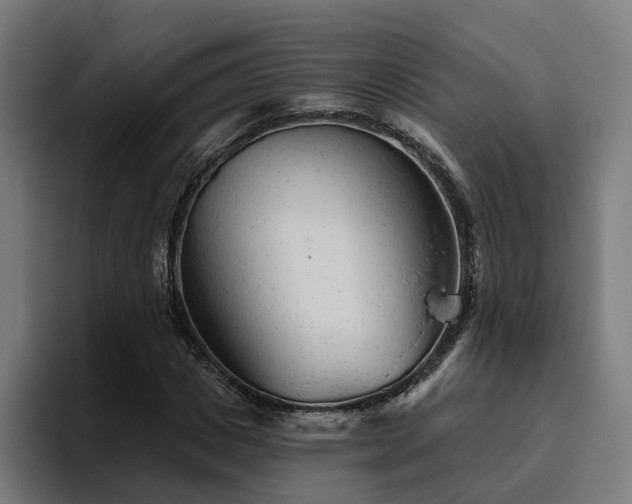 X0000094770825200711161354