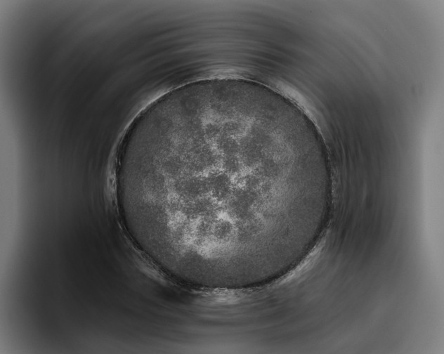 X0000094770827200711161354