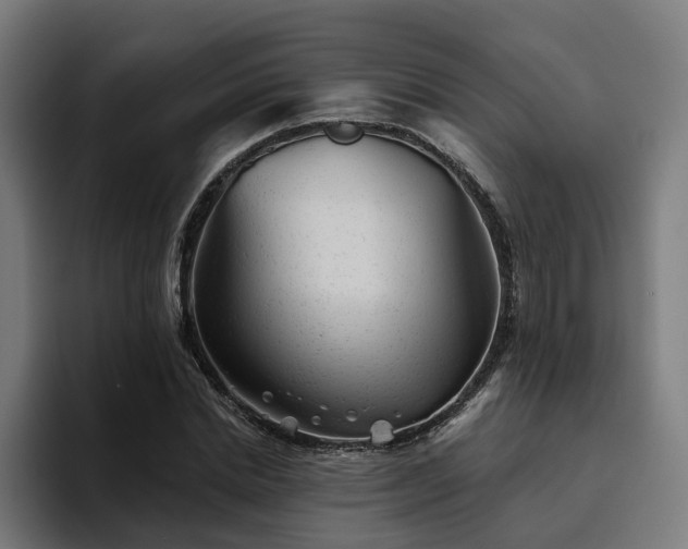 X0000094770830200711161354