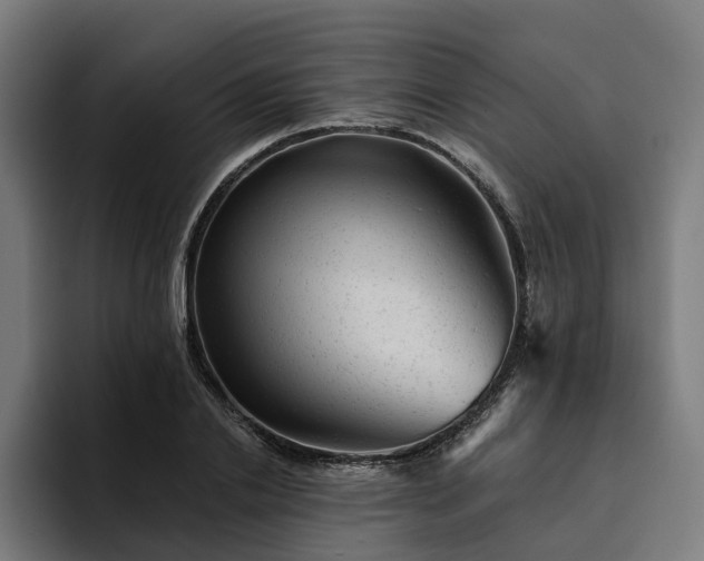 X0000094770838200711161354