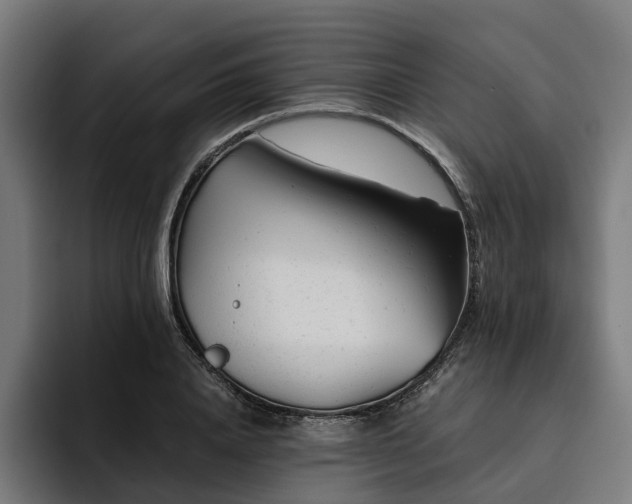 X0000094770840200711161354