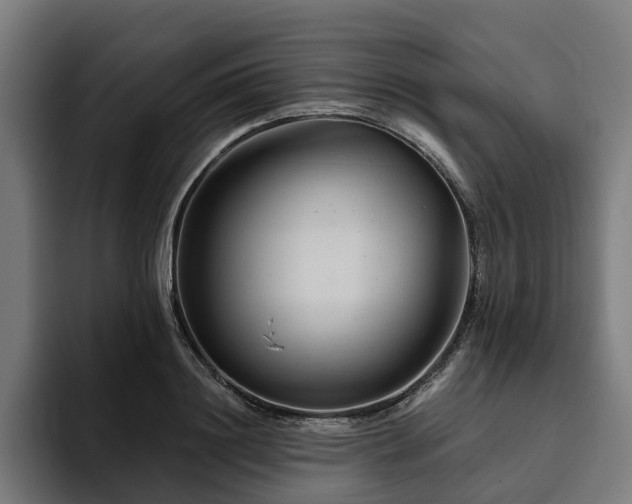 X0000094770844200711161354